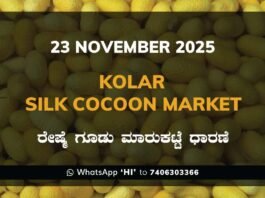 Kolar Silk Cocoon Market Price Rate ಕೋಲಾರ ರೇಷ್ಮೆ ಗೂಡು ಮಾರುಕಟ್ಟೆ ಧಾರಣೆ