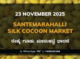 Santemarahalli (SM Halli) Government Silk Cocoon Market Daily Rate Report ಸಂತೇಮರಹಳ್ಳಿ ರೇಷ್ಮೆ ಗೂಡು ಮಾರುಕಟ್ಟೆ ಧಾರಣೆ