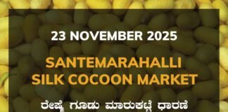 Santemarahalli Silk Cocoon Market: 23 November 2025 Santemarahalli (SM Halli) Government Silk Cocoon Market Daily Rate Report ಸಂತೇಮರಹಳ್ಳಿ ರೇಷ್ಮೆ ಗೂಡು ಮಾರುಕಟ್ಟೆ ಧಾರಣೆ