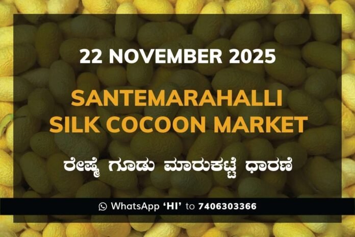 Santemarahalli (SM Halli) Government Silk Cocoon Market Daily Rate Report ಸಂತೇಮರಹಳ್ಳಿ ರೇಷ್ಮೆ ಗೂಡು ಮಾರುಕಟ್ಟೆ ಧಾರಣೆ