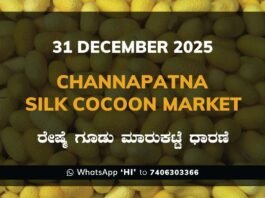 Channapatna Silk Cocoon Market Price Rate ಚನ್ನಪಟ್ಟಣ ರೇಷ್ಮೆ ಗೂಡು ಮಾರುಕಟ್ಟೆ ಧಾರಣೆ