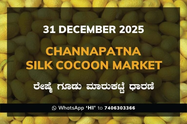 Channapatna Silk Cocoon Market Price Rate ಚನ್ನಪಟ್ಟಣ ರೇಷ್ಮೆ ಗೂಡು ಮಾರುಕಟ್ಟೆ ಧಾರಣೆ
