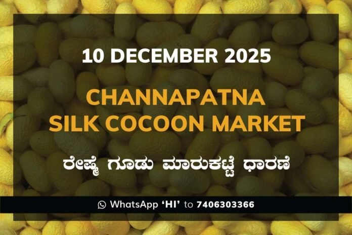1 Channapatna Silk Cocoon Market Price Rate ಚನ್ನಪಟ್ಟಣ ರೇಷ್ಮೆ ಗೂಡು ಮಾರುಕಟ್ಟೆ ಧಾರಣೆ