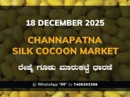 Channapatna Silk Cocoon Market Price Rate ಚನ್ನಪಟ್ಟಣ ರೇಷ್ಮೆ ಗೂಡು ಮಾರುಕಟ್ಟೆ ಧಾರಣೆ