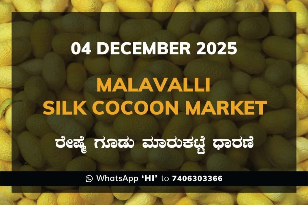 Malavalli Silk Cocoon Market Price Rate ಮಳವಳ್ಳಿ ರೇಷ್ಮೆ ಗೂಡು ಮಾರುಕಟ್ಟೆ ಧಾರಣೆ