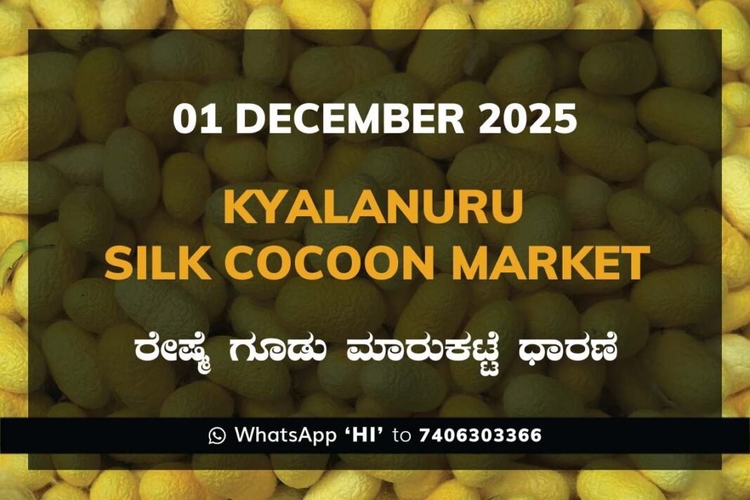 Kyalanur Government Silk Cocoon Market Daily Rate Report ಕ್ಯಾಲನೂರು ರೇಷ್ಮೆ ಗೂಡು ಮಾರುಕಟ್ಟೆ ಧಾರಣೆ