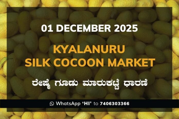 29 Kyalanur Government Silk Cocoon Market Daily Rate Report ಕ್ಯಾಲನೂರು ರೇಷ್ಮೆ ಗೂಡು ಮಾರುಕಟ್ಟೆ ಧಾರಣೆ