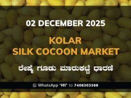 Kolar Silk Cocoon Market: 02 December 2025 Kolar Silk Cocoon Market Price Rate ಕೋಲಾರ ರೇಷ್ಮೆ ಗೂಡು ಮಾರುಕಟ್ಟೆ ಧಾರಣೆ