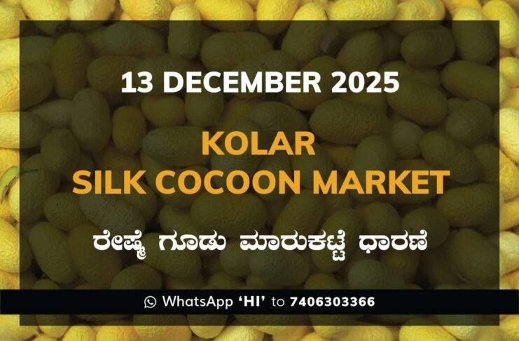 Kolar Silk Cocoon Market Price Rate ಕೋಲಾರ ರೇಷ್ಮೆ ಗೂಡು ಮಾರುಕಟ್ಟೆ ಧಾರಣೆ