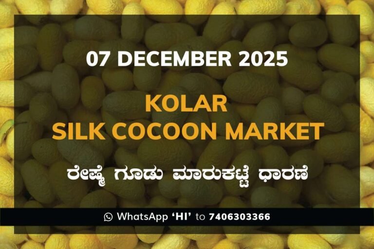 Kolar Silk Cocoon Market Price Rate ಕೋಲಾರ ರೇಷ್ಮೆ ಗೂಡು ಮಾರುಕಟ್ಟೆ ಧಾರಣೆ