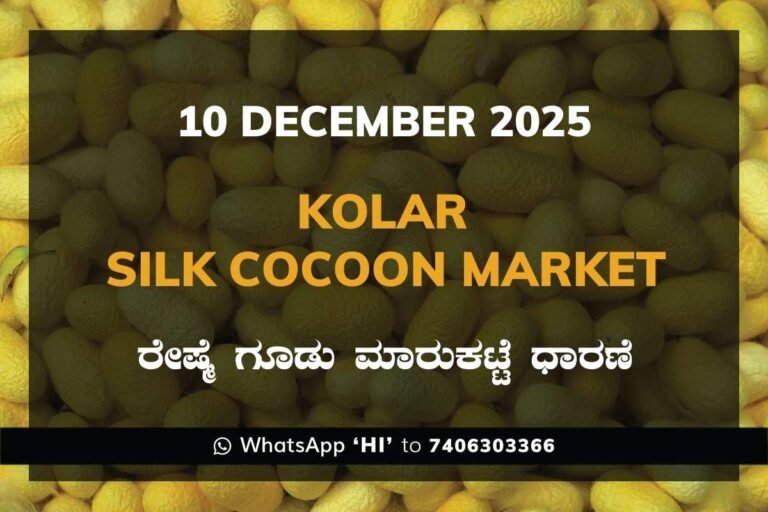 Kolar Silk Cocoon Market Price Rate ಕೋಲಾರ ರೇಷ್ಮೆ ಗೂಡು ಮಾರುಕಟ್ಟೆ ಧಾರಣೆ