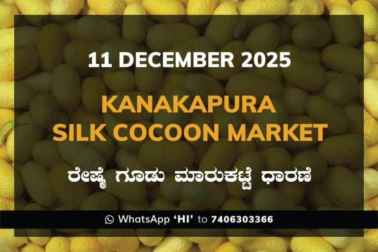 Kanakapura Silk Cocoon Market ಕನಕಪುರ ರೇಷ್ಮೆ ಗೂಡು ಮಾರುಕಟ್ಟೆ ಧಾರಣೆ