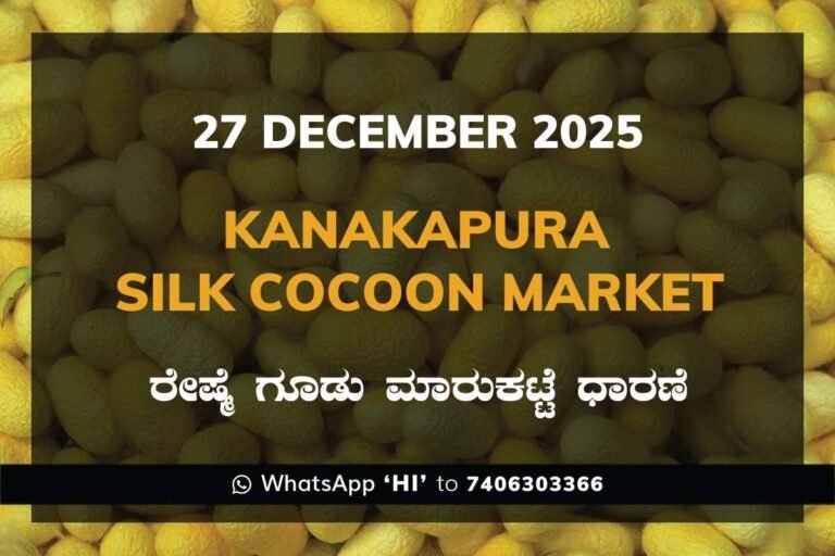 Kanakapura Silk Cocoon Market ಕನಕಪುರ ರೇಷ್ಮೆ ಗೂಡು ಮಾರುಕಟ್ಟೆ ಧಾರಣೆ