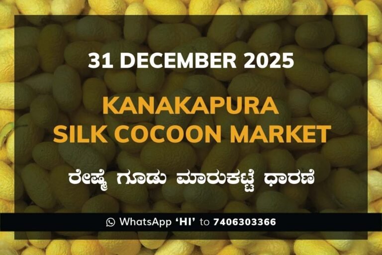 Kanakapura Silk Cocoon Market ಕನಕಪುರ ರೇಷ್ಮೆ ಗೂಡು ಮಾರುಕಟ್ಟೆ ಧಾರಣೆ