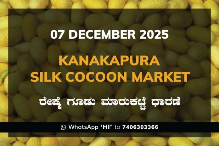 Kanakapura Silk Cocoon Market ಕನಕಪುರ ರೇಷ್ಮೆ ಗೂಡು ಮಾರುಕಟ್ಟೆ ಧಾರಣೆ