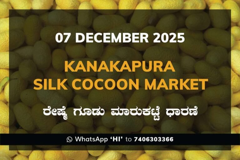 Kanakapura Silk Cocoon Market ಕನಕಪುರ ರೇಷ್ಮೆ ಗೂಡು ಮಾರುಕಟ್ಟೆ ಧಾರಣೆ