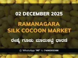 Ramanagara Silk Cocoon Market: 02 December 2025 Ramanagara Silk Cocoon Market ರಾಮನಗರ ರೇಷ್ಮೆ ಗೂಡು ಮಾರುಕಟ್ಟೆ ಧಾರಣೆ
