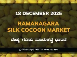 Ramanagara Silk Cocoon Market ರಾಮನಗರ ರೇಷ್ಮೆ ಗೂಡು ಮಾರುಕಟ್ಟೆ ಧಾರಣೆ