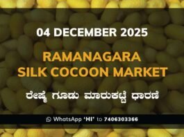 Ramanagara Silk Cocoon Market ರಾಮನಗರ ರೇಷ್ಮೆ ಗೂಡು ಮಾರುಕಟ್ಟೆ ಧಾರಣೆ