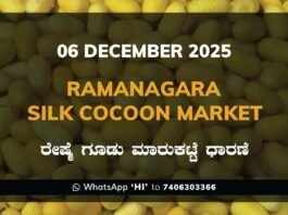 Ramanagara Silk Cocoon Market ರಾಮನಗರ ರೇಷ್ಮೆ ಗೂಡು ಮಾರುಕಟ್ಟೆ ಧಾರಣೆ