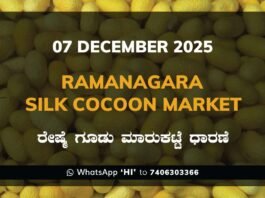 Ramanagara Silk Cocoon Market ರಾಮನಗರ ರೇಷ್ಮೆ ಗೂಡು ಮಾರುಕಟ್ಟೆ ಧಾರಣೆ