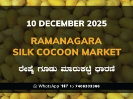 Ramanagara Silk Cocoon Market ರಾಮನಗರ ರೇಷ್ಮೆ ಗೂಡು ಮಾರುಕಟ್ಟೆ ಧಾರಣೆ