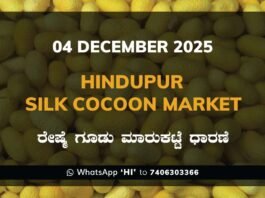 Hindupur Government Silk Cocoon Market Daily Rate Report ಹಿಂದೂಪುರ ರೇಷ್ಮೆ ಗೂಡು ಮಾರುಕಟ್ಟೆ ಧಾರಣೆ