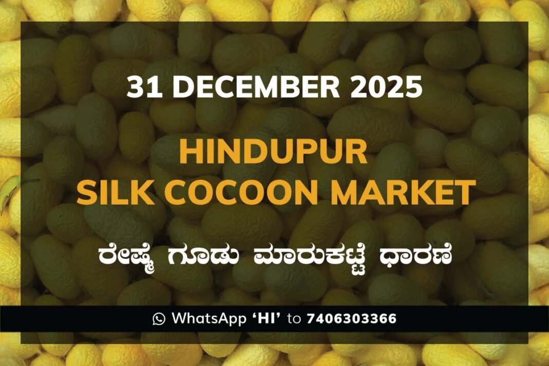 Hindupur Government Silk Cocoon Market Daily Rate Report ಹಿಂದೂಪುರ ರೇಷ್ಮೆ ಗೂಡು ಮಾರುಕಟ್ಟೆ ಧಾರಣೆ