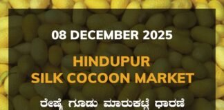 Hindupur Silk Cocoon Market: 08 December 2025 Hindupur Government Silk Cocoon Market Daily Rate Report ಹಿಂದೂಪುರ ರೇಷ್ಮೆ ಗೂಡು ಮಾರುಕಟ್ಟೆ ಧಾರಣೆ
