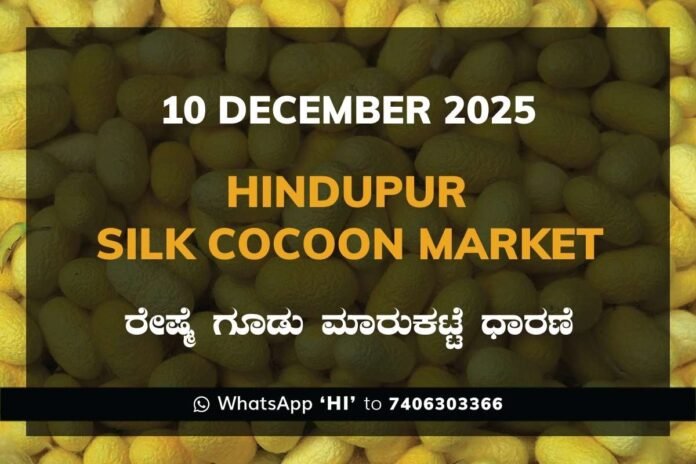 71 Hindupur Government Silk Cocoon Market Daily Rate Report ಹಿಂದೂಪುರ ರೇಷ್ಮೆ ಗೂಡು ಮಾರುಕಟ್ಟೆ ಧಾರಣೆ