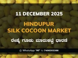 Hindupur Silk Cocoon Market: 11 December 2025 Hindupur Government Silk Cocoon Market Daily Rate Report ಹಿಂದೂಪುರ ರೇಷ್ಮೆ ಗೂಡು ಮಾರುಕಟ್ಟೆ ಧಾರಣೆ