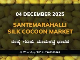 Santemarahalli (SM Halli) Government Silk Cocoon Market Daily Rate Report ಸಂತೇಮರಹಳ್ಳಿ ರೇಷ್ಮೆ ಗೂಡು ಮಾರುಕಟ್ಟೆ ಧಾರಣೆ