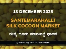 Santemarahalli Silk Cocoon Market: 13 December 2025 Santemarahalli (SM Halli) Government Silk Cocoon Market Daily Rate Report ಸಂತೇಮರಹಳ್ಳಿ ರೇಷ್ಮೆ ಗೂಡು ಮಾರುಕಟ್ಟೆ ಧಾರಣೆ