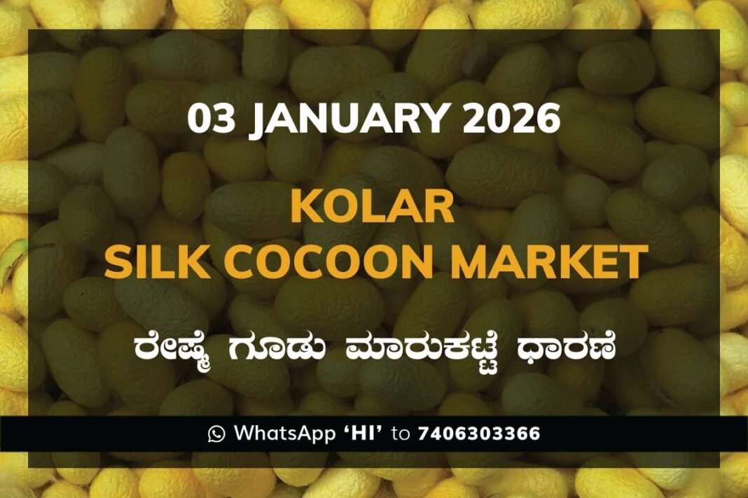 Kolar Silk Cocoon Market Price Rate ಕೋಲಾರ ರೇಷ್ಮೆ ಗೂಡು ಮಾರುಕಟ್ಟೆ ಧಾರಣೆ