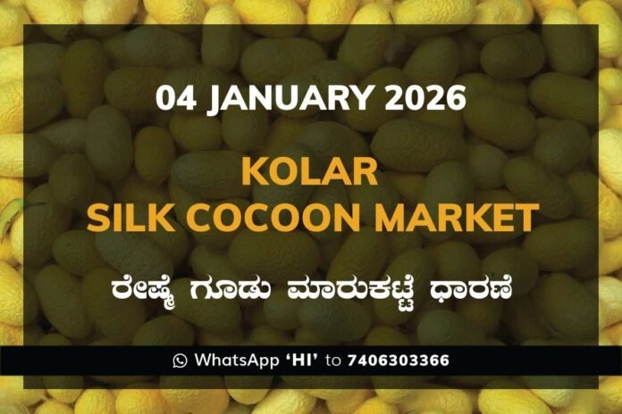 Kolar Silk Cocoon Market Price Rate ಕೋಲಾರ ರೇಷ್ಮೆ ಗೂಡು ಮಾರುಕಟ್ಟೆ ಧಾರಣೆ