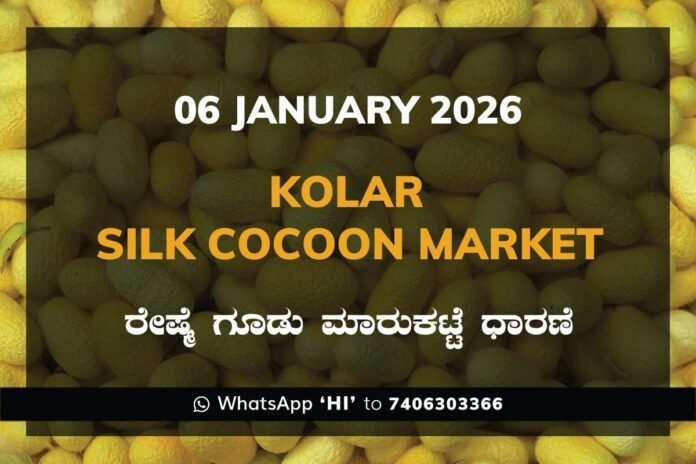 Kolar Silk Cocoon Market Price Rate ಕೋಲಾರ ರೇಷ್ಮೆ ಗೂಡು ಮಾರುಕಟ್ಟೆ ಧಾರಣೆ
