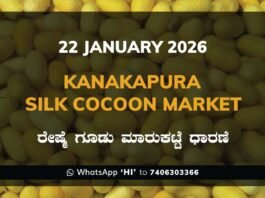 Kanakapura Silk Cocoon Market ಕನಕಪುರ ರೇಷ್ಮೆ ಗೂಡು ಮಾರುಕಟ್ಟೆ ಧಾರಣೆ