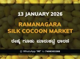 Ramanagara Silk Cocoon Market ರಾಮನಗರ ರೇಷ್ಮೆ ಗೂಡು ಮಾರುಕಟ್ಟೆ ಧಾರಣೆ