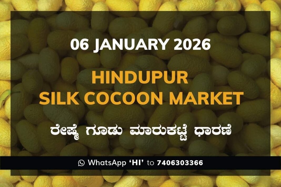 Hindupur Government Silk Cocoon Market Daily Rate Report ಹಿಂದೂಪುರ ರೇಷ್ಮೆ ಗೂಡು ಮಾರುಕಟ್ಟೆ ಧಾರಣೆ