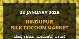 Hindupur Silk Cocoon Market: 22 January 2026 Hindupur Government Silk Cocoon Market Daily Rate Report ಹಿಂದೂಪುರ ರೇಷ್ಮೆ ಗೂಡು ಮಾರುಕಟ್ಟೆ ಧಾರಣೆ