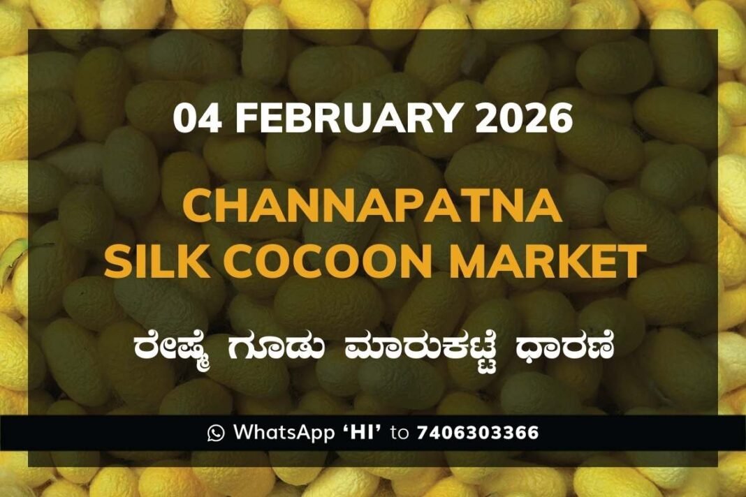 Channapatna Government Silk Cocoon Market Daily Rate Report ಚನ್ನಪಟ್ಟಣ ರೇಷ್ಮೆ ಗೂಡು ಮಾರುಕಟ್ಟೆ ಧಾರಣೆ