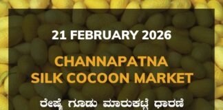 Channapatna Silk Cocoon Market: 21 February 2026 Channapatna Government Silk Cocoon Market Daily Rate Report ಚನ್ನಪಟ್ಟಣ ರೇಷ್ಮೆ ಗೂಡು ಮಾರುಕಟ್ಟೆ ಧಾರಣೆ