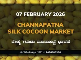 Channapatna Government Silk Cocoon Market Daily Rate Report ಚನ್ನಪಟ್ಟಣ ರೇಷ್ಮೆ ಗೂಡು ಮಾರುಕಟ್ಟೆ ಧಾರಣೆ
