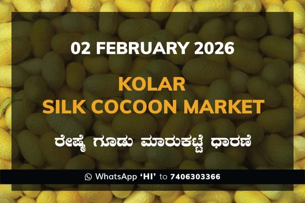 Kolar Silk Cocoon Market Price Rate ಕೋಲಾರ ರೇಷ್ಮೆ ಗೂಡು ಮಾರುಕಟ್ಟೆ ಧಾರಣೆ
