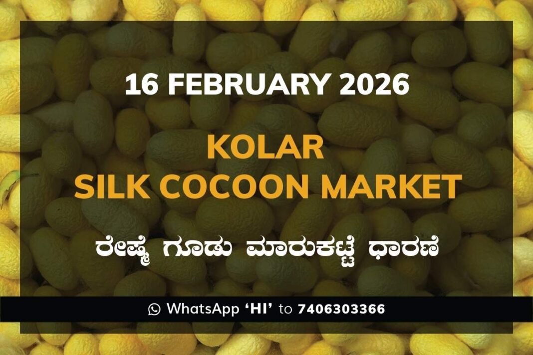 Kolar Silk Cocoon Market Price Rate ಕೋಲಾರ ರೇಷ್ಮೆ ಗೂಡು ಮಾರುಕಟ್ಟೆ ಧಾರಣೆ