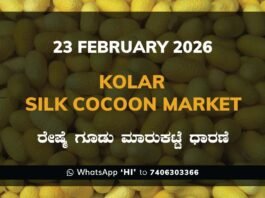 Kolar Silk Cocoon Market Price Rate ಕೋಲಾರ ರೇಷ್ಮೆ ಗೂಡು ಮಾರುಕಟ್ಟೆ ಧಾರಣೆ