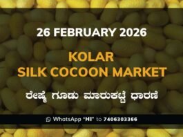 Kolar Silk Cocoon Market: 26 February 2026 Kolar Silk Cocoon Market Price Rate ಕೋಲಾರ ರೇಷ್ಮೆ ಗೂಡು ಮಾರುಕಟ್ಟೆ ಧಾರಣೆ