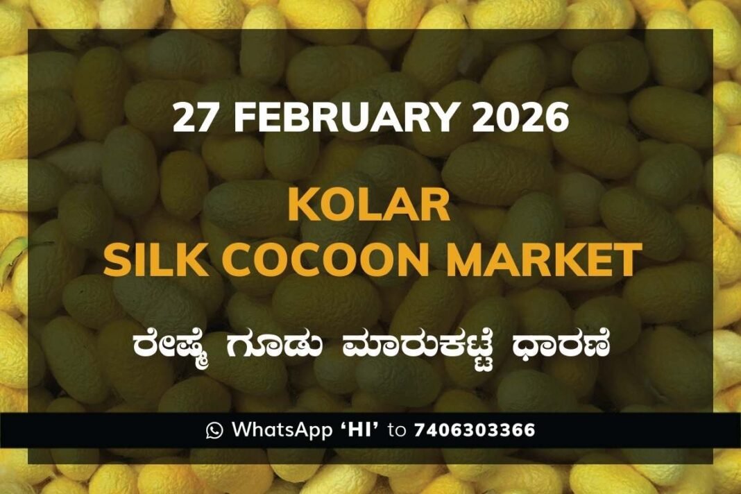 Kolar Silk Cocoon Market Price Rate ಕೋಲಾರ ರೇಷ್ಮೆ ಗೂಡು ಮಾರುಕಟ್ಟೆ ಧಾರಣೆ