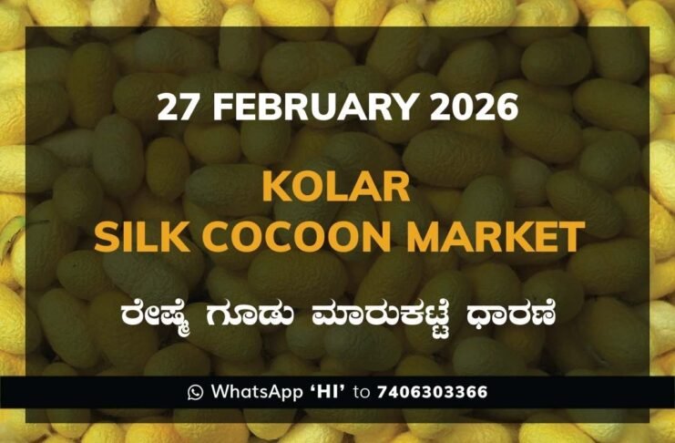 Kolar Silk Cocoon Market Price Rate ಕೋಲಾರ ರೇಷ್ಮೆ ಗೂಡು ಮಾರುಕಟ್ಟೆ ಧಾರಣೆ