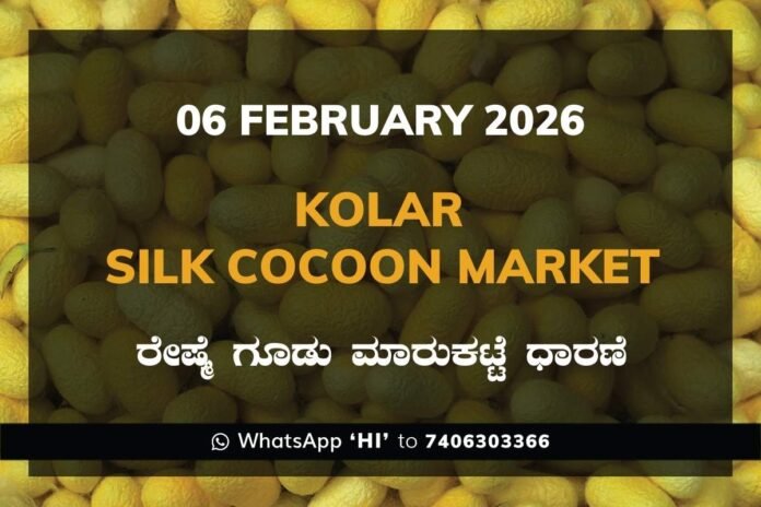 Kolar Silk Cocoon Market Price Rate ಕೋಲಾರ ರೇಷ್ಮೆ ಗೂಡು ಮಾರುಕಟ್ಟೆ ಧಾರಣೆ